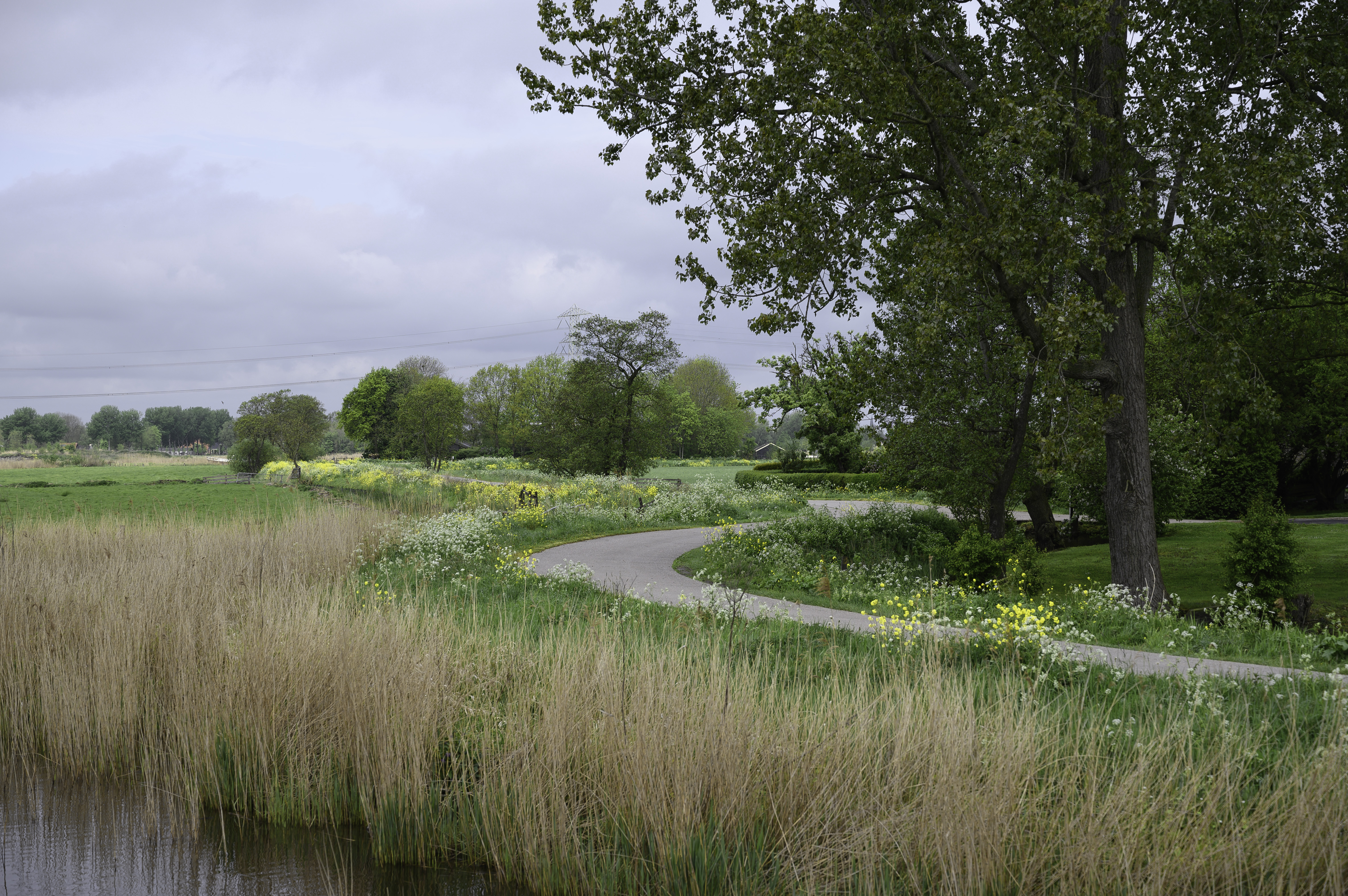 Kromme Knilles bij Akkrum